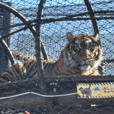 気分転換に動物園