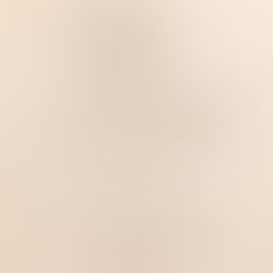 画室de落書き：女流日本画家（東京芸大編）