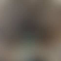 神戸に来ました