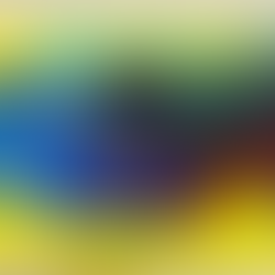 フルイドアート