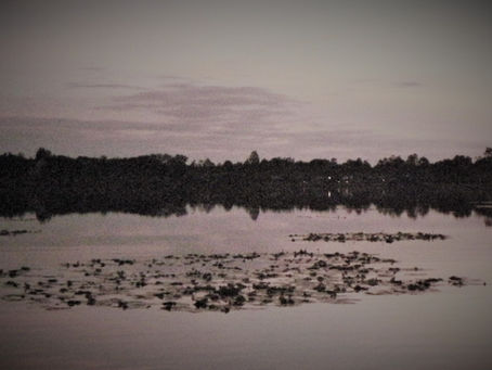 The Kit Lake Solace, June 2021