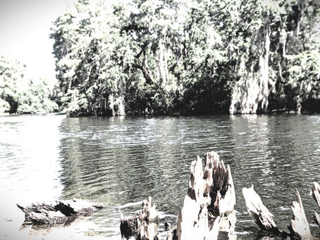 Spring ended, and clean sunlight glinted off the leaves of our live oaks like polished emeralds. The annual dry season was in effect, driving down water levels making it tricky to find fish. Baitfish were present in the shallows, but falling water moved those shallows.