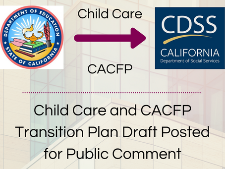 Sample Comments for CDSS Draft Transition Plan Survey