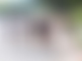 Oaks Christian Summer Practice