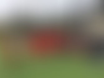 University High School Summer Practice