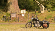 Narumin/XL883N