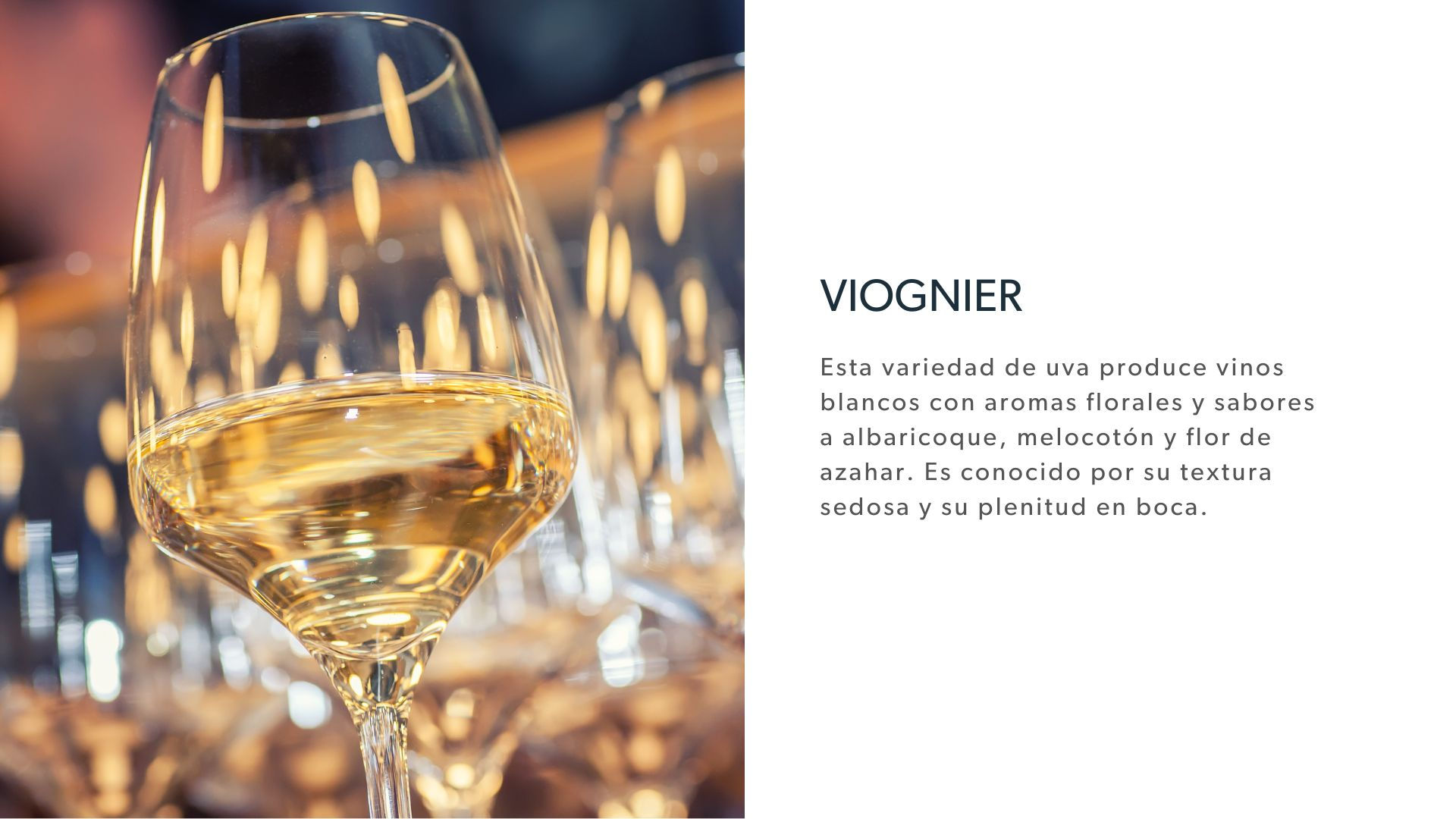variedades de vino