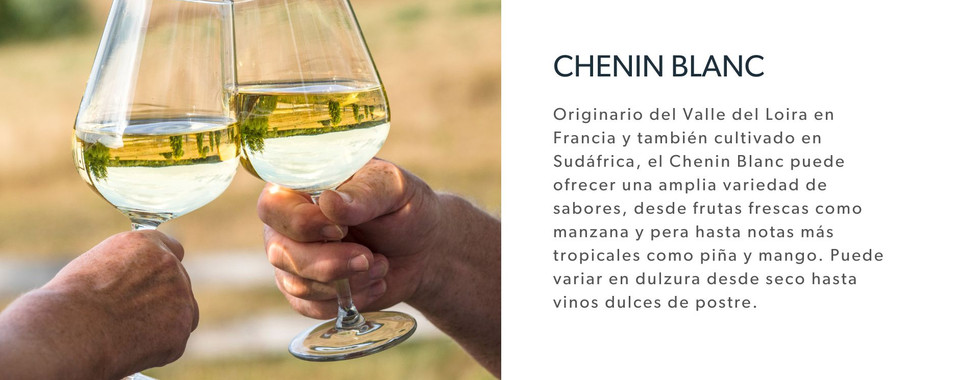 variedades de vino