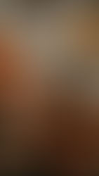 Organize an unforgettable New Year's Eve event