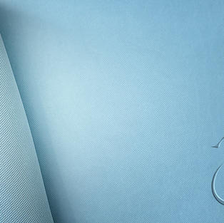 Stylish_Silk-Light-Sky-Blue.jpeg