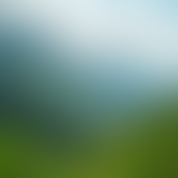 Explore Tayasan: Hidden Gems Near Eudelz Travelers Inn