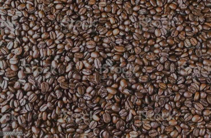 WhatsApp%2520Image%25202021-04-21%2520at