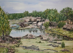 New Mexico Reflections