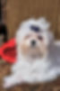 20240106_082654thor_edited.jpg