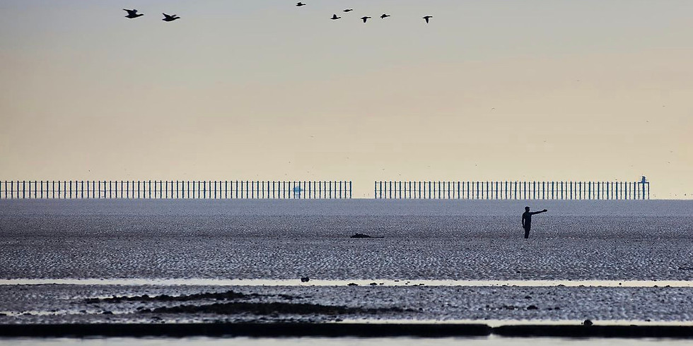 SILT - Estuary 2021
