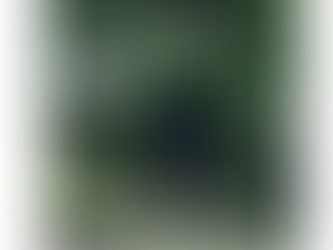 "La regina di Casetta": film di Francesco Fei all’IIC di Bruxelles