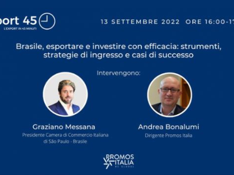 Export a San Paolo: il presidente della CCI Messana al webinar di Promos Italia