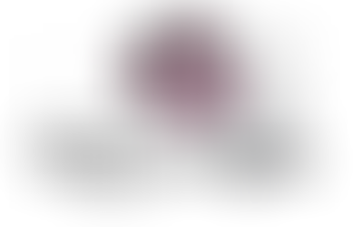 Trentini nel mondo in assemblea: approvato il bilancio 2021