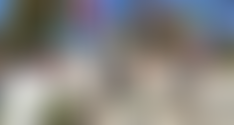 4 novembre: l’ambasciatrice Zarra al Cimitero Militare Italiano di Sofia