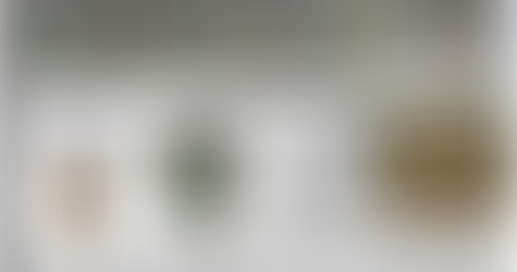 Guerrieri con elmi cornuti: Scandinavia, Sardegna e Penisola Iberica dell’Età del Bronzo a confronto