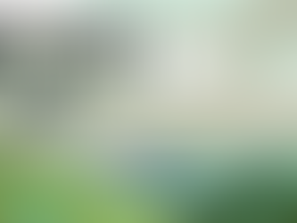 “Discover the Magic of Italian children’s books” a Doha