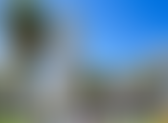 Montevideo : servizio telefonico sospeso dal 2 al 10 gennaio