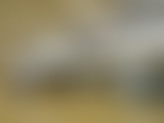 NEW DELHI - allerta dell’Ambasciata ai turisti italiani in India : attenzione alle truffe