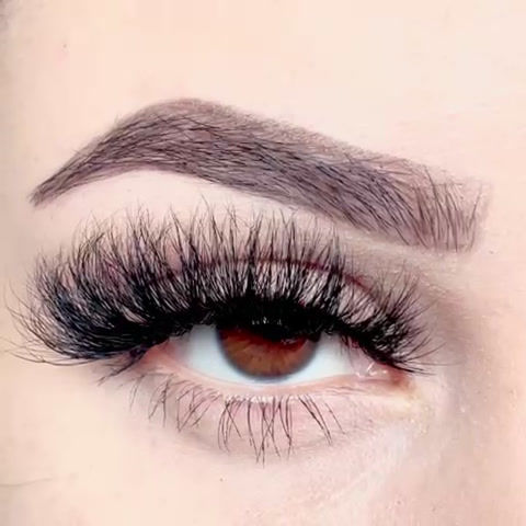 Thumbnail: High Class