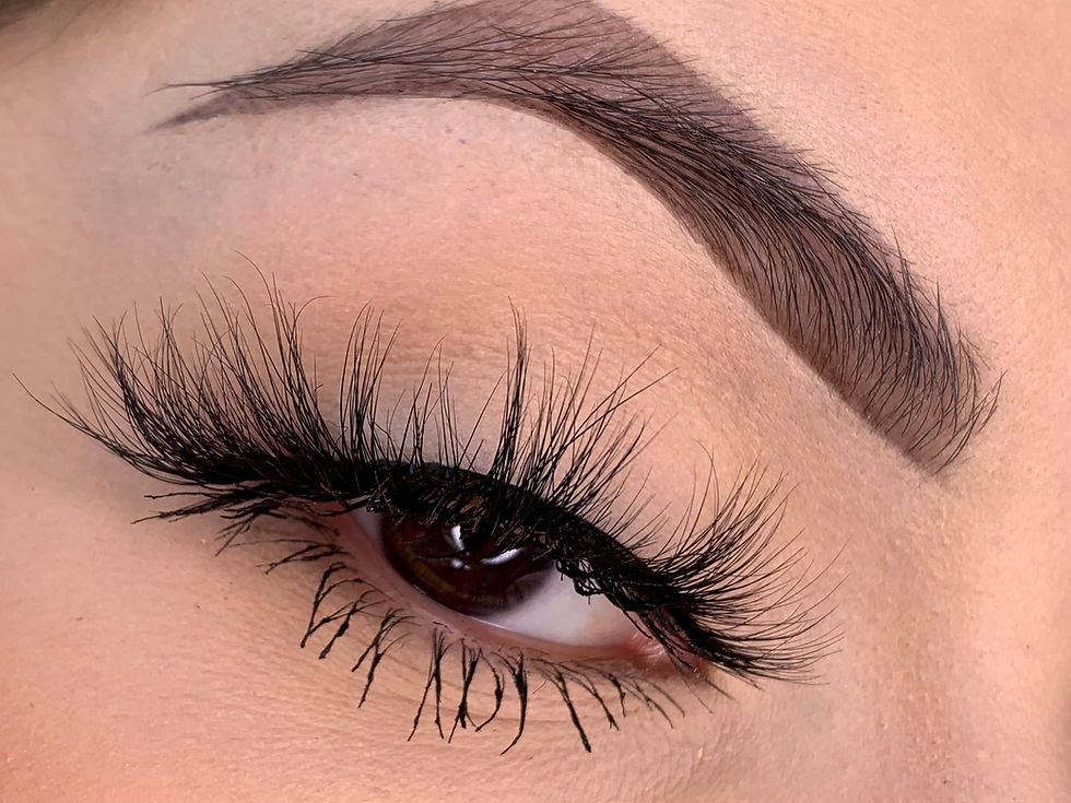 Thumbnail: Black Beauty