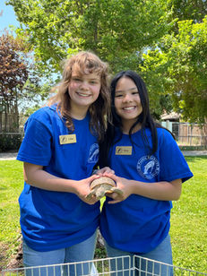ZooAlive Volunteers