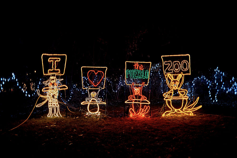 Electricritters_DSC08426_© 2019 David S Hayden.jpg