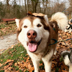 13FADEF2-3EFC-4BFB-9A94-70A9CC13F5E4