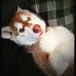 8470315D-AB56-4B26-9153-38BDC6B23908