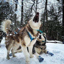 AF29D7DF-180A-4E17-9AD6-0992ABD109FA