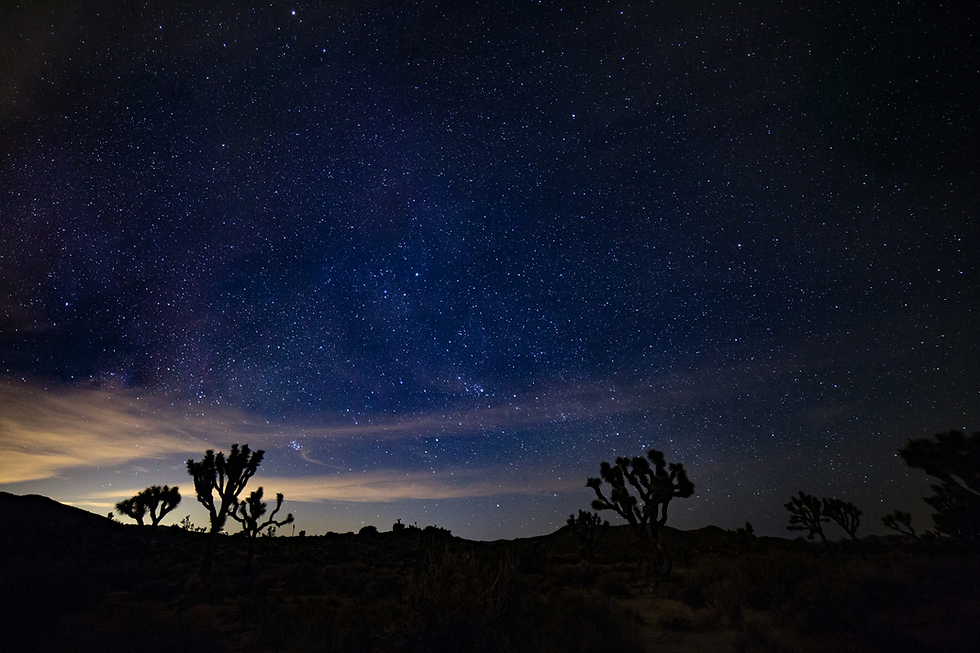 This beautiful night photo reminds of the night Jesus was born. The stars shone over the shepherds as they heard the wonderful news.