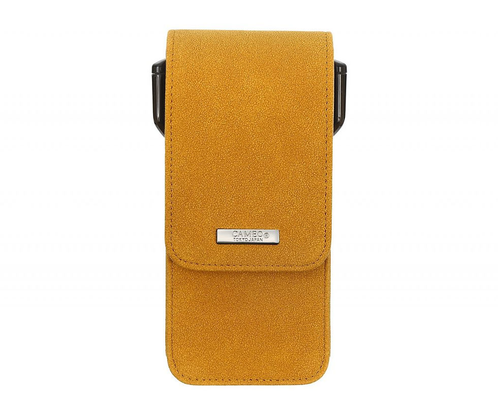 縮圖：CAMEO GATE CS Darts Case