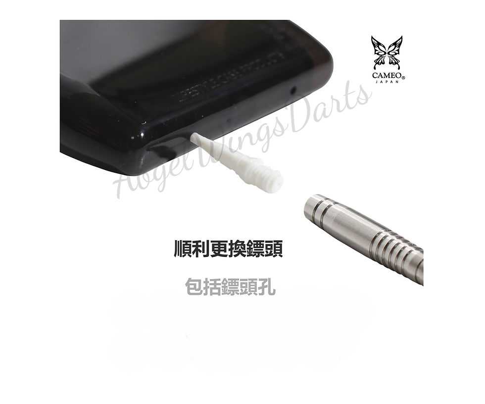 縮圖：CAMEO DROP SLEEVE 2 Darts Case