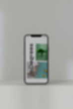 Portfolio on Mobile