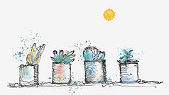 cacti pots illustration