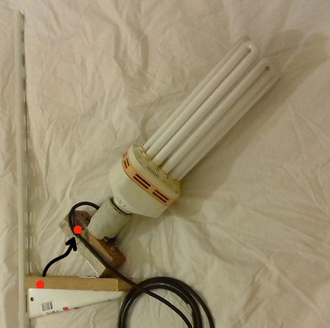 20200610_204054 1_edited.jpg