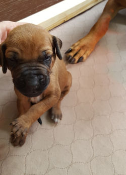 20160502_120341_edited