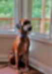 PrideLands photo