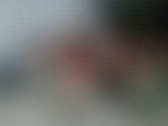 What Makes Preschool in Panchkula the Right Choice for Your Child?