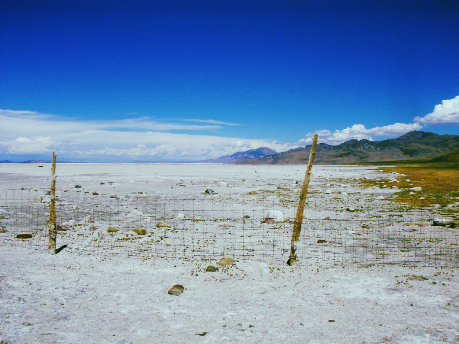 ENVIRONMENTAL ASSESSMENTS
