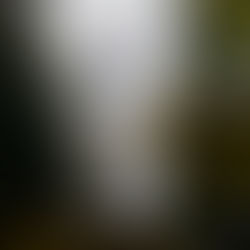 “Nechoď sem. Umřeš.” ⚠️