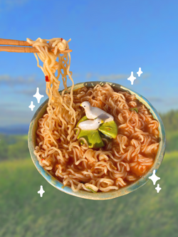 "Duck Bowl" With Ramen