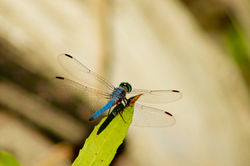 11731569_695671653911929_3615102303816292789_o