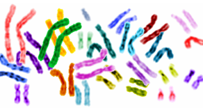Are we moving towards genetics-based HR?
