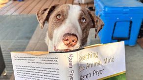 Sputnik Breaks Sound Barrier