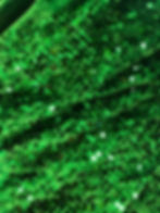 Thumbnail: Velvet Sequin Fabric